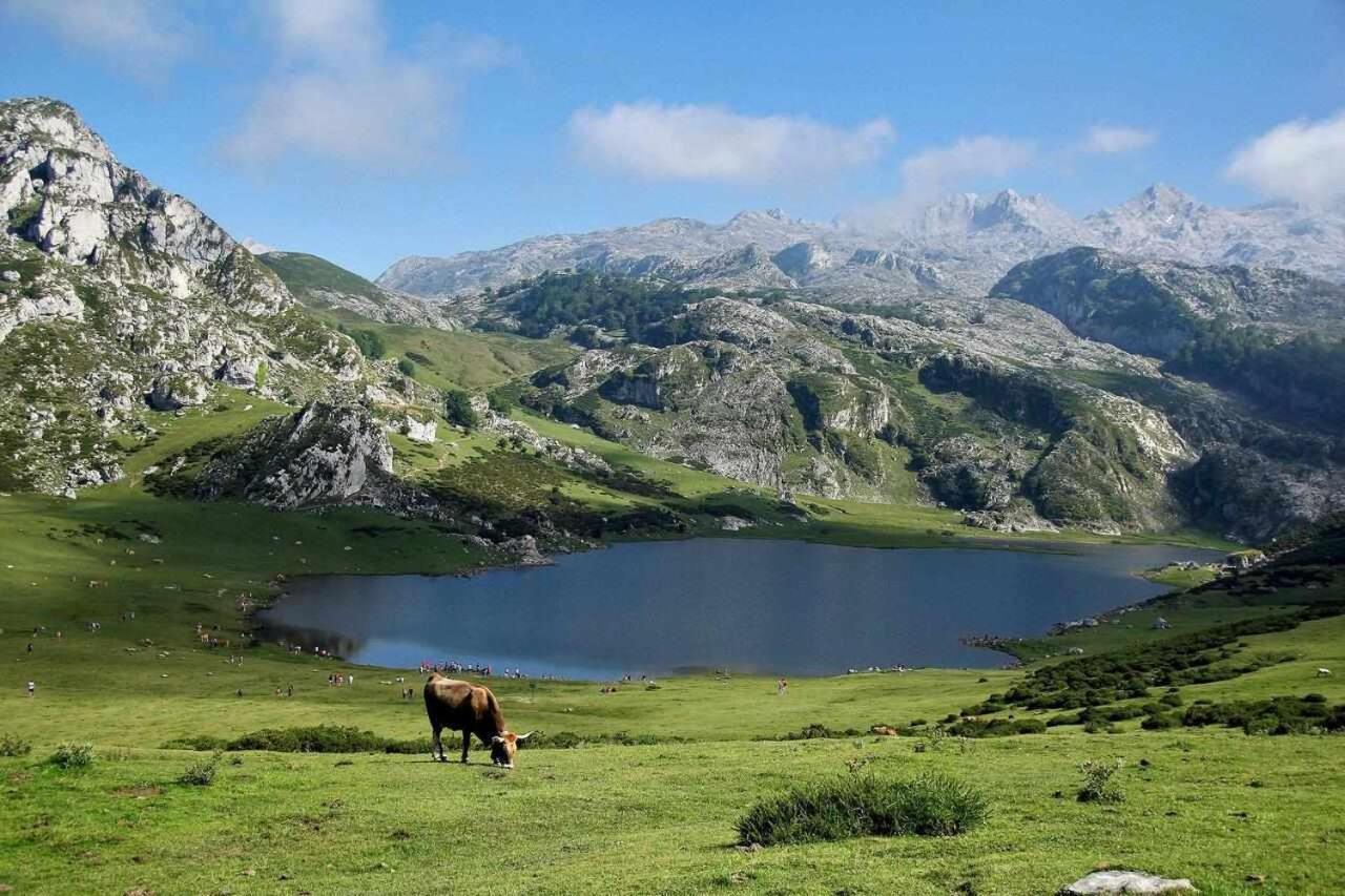 Casa Rural La Carrozal Senda Del Oso Orelleiru Eksteriør billede