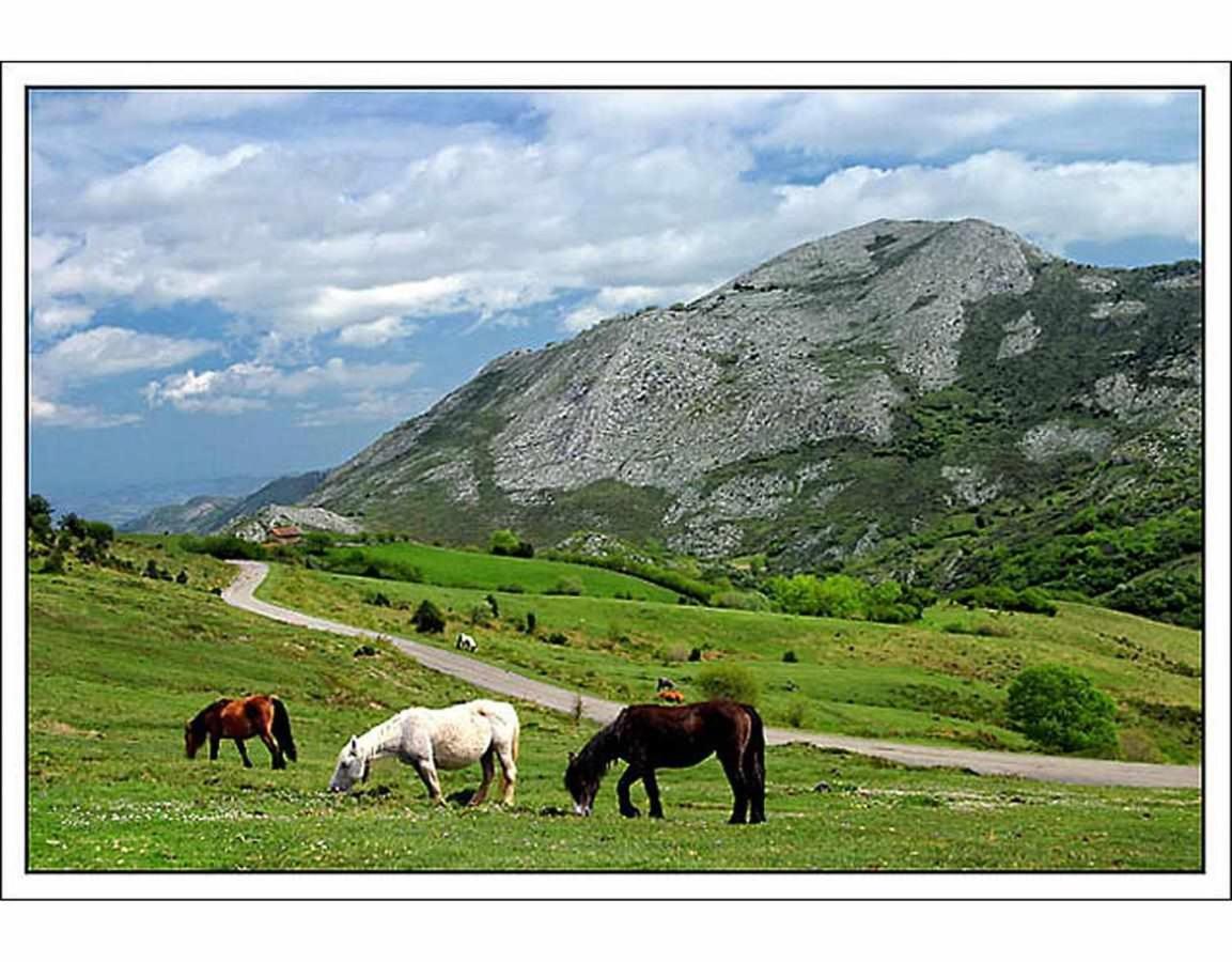 Casa Rural La Carrozal Senda Del Oso Orelleiru Eksteriør billede